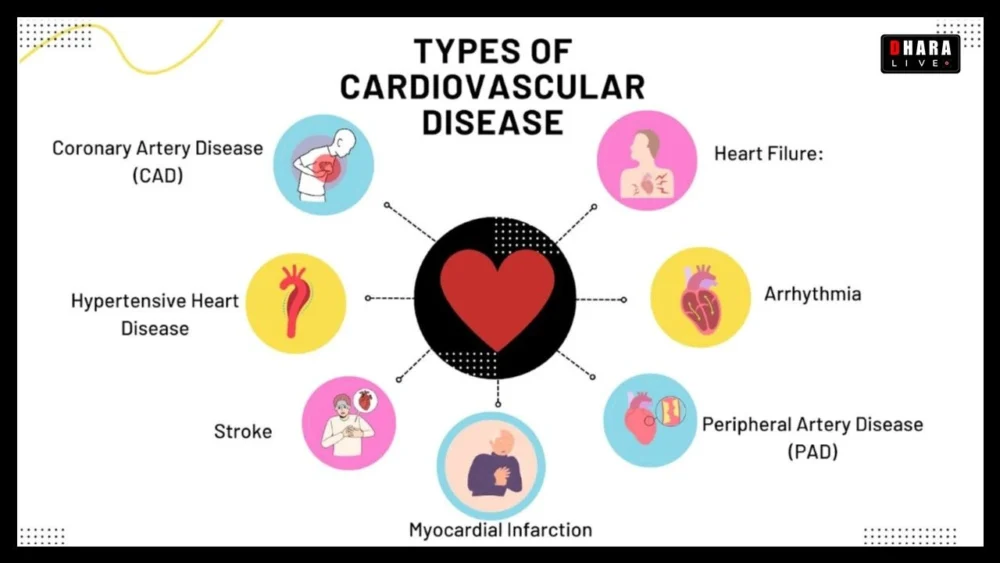 Cardiovascular Diseases: Are You at Risk or Can You Survive?