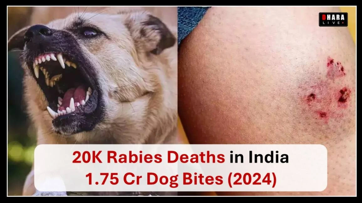 rabies-crisis-in-india-1-75-crore-dog-bite-cases-20000-deaths-every-year-when-will-the-government-wake-up