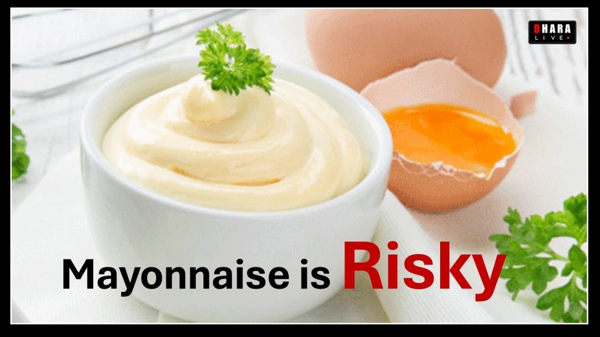 why-can-mayonnaise-made-from-raw-eggs-be-dangerous-know-mayonnaise-recipe-and-health-facts