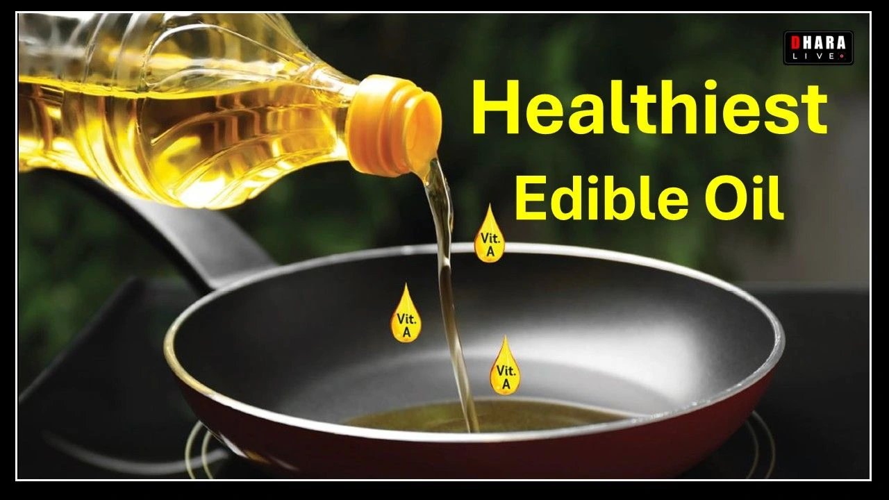 rising-prices-of-edible-oil-in-india-know-which-is-the-best-edible-oil-and-the-impact-of-import-duty