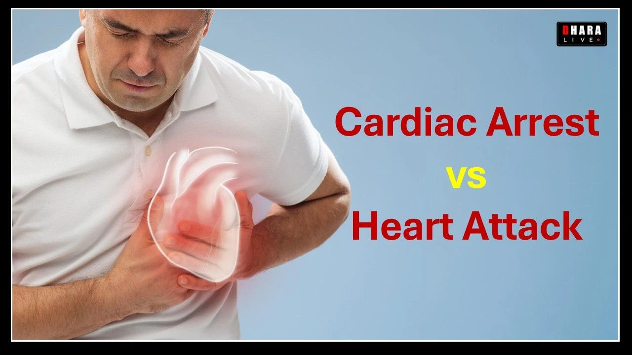 what-is-cardiovascular-disease-causes-symptoms-types-and-complete-prevention-measures-complete-guide-on-heart-diseases