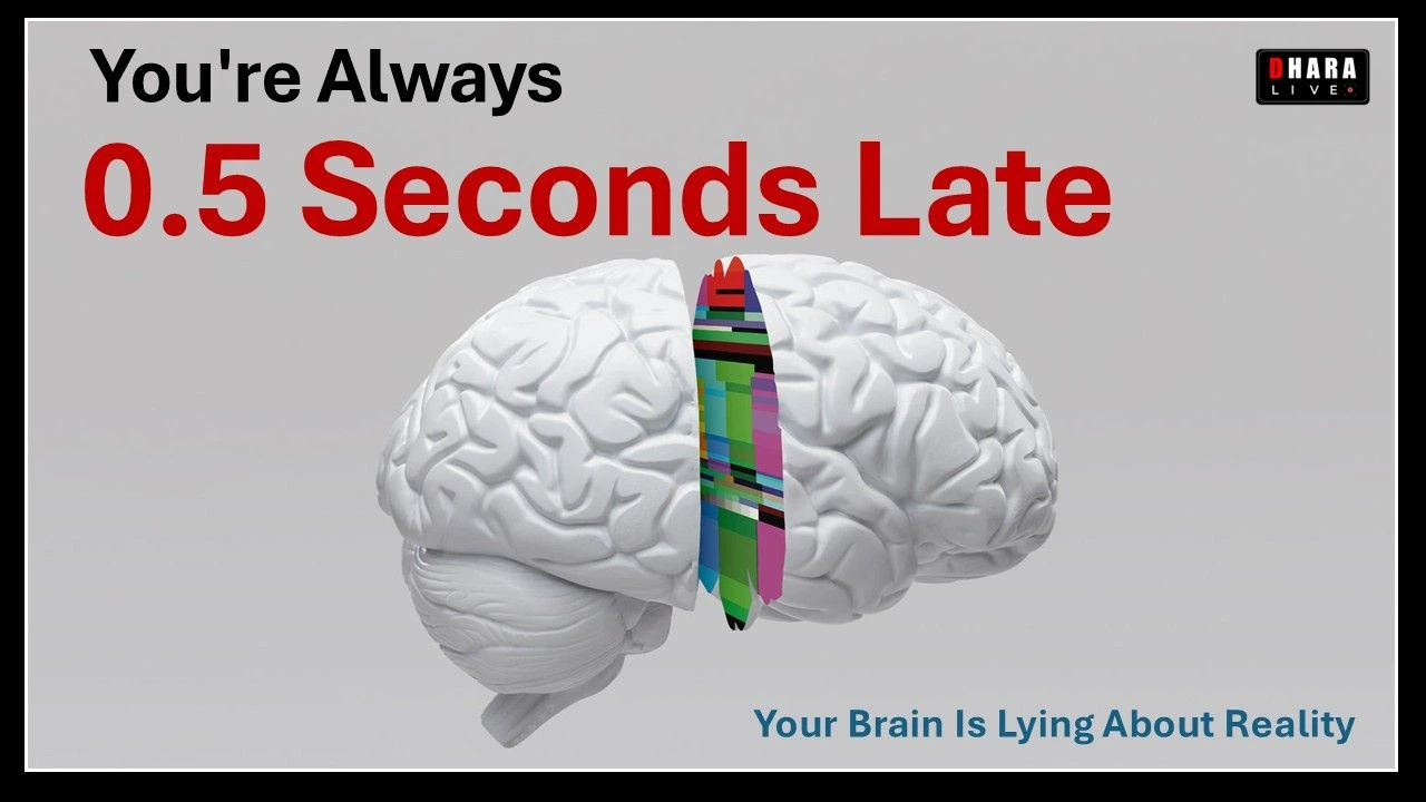 how-does-the-brain-create-our-world-brain-time-delay-brain-prediction-consciousness-explained-in-hindi