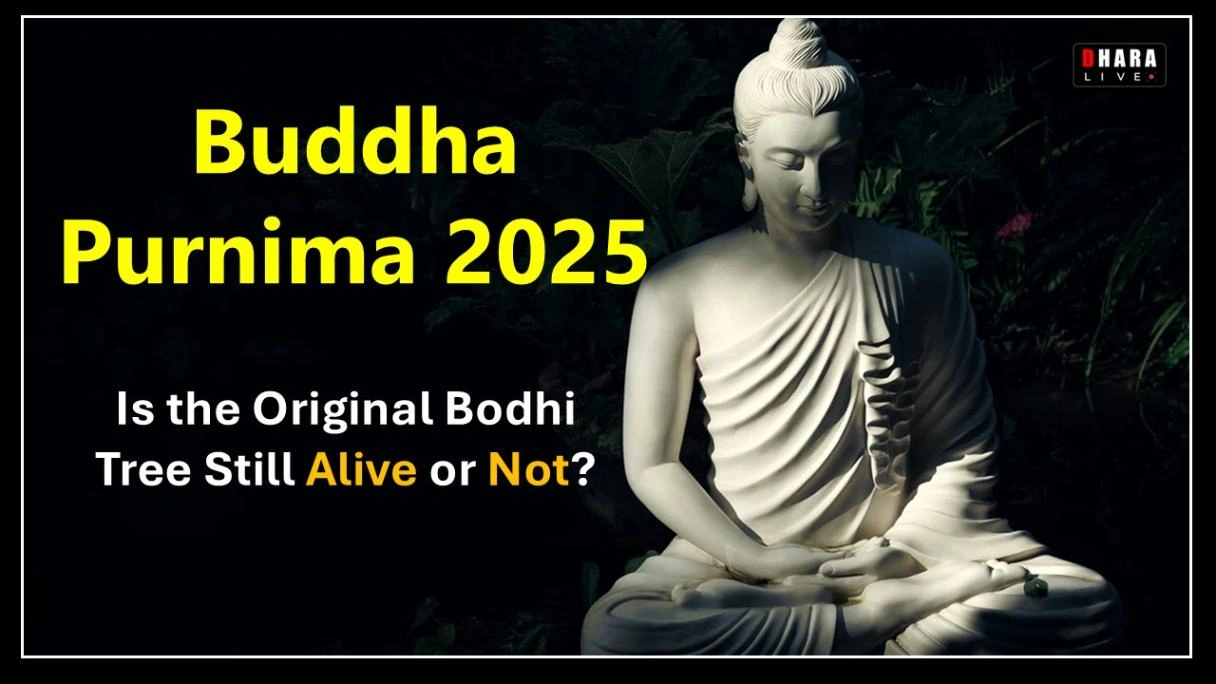what-is-vesak-and-how-is-it-connected-to-buddha-purnima-tithi-buddha-purnima-2025-wishes-in-hindi-buddha-jayanti-special