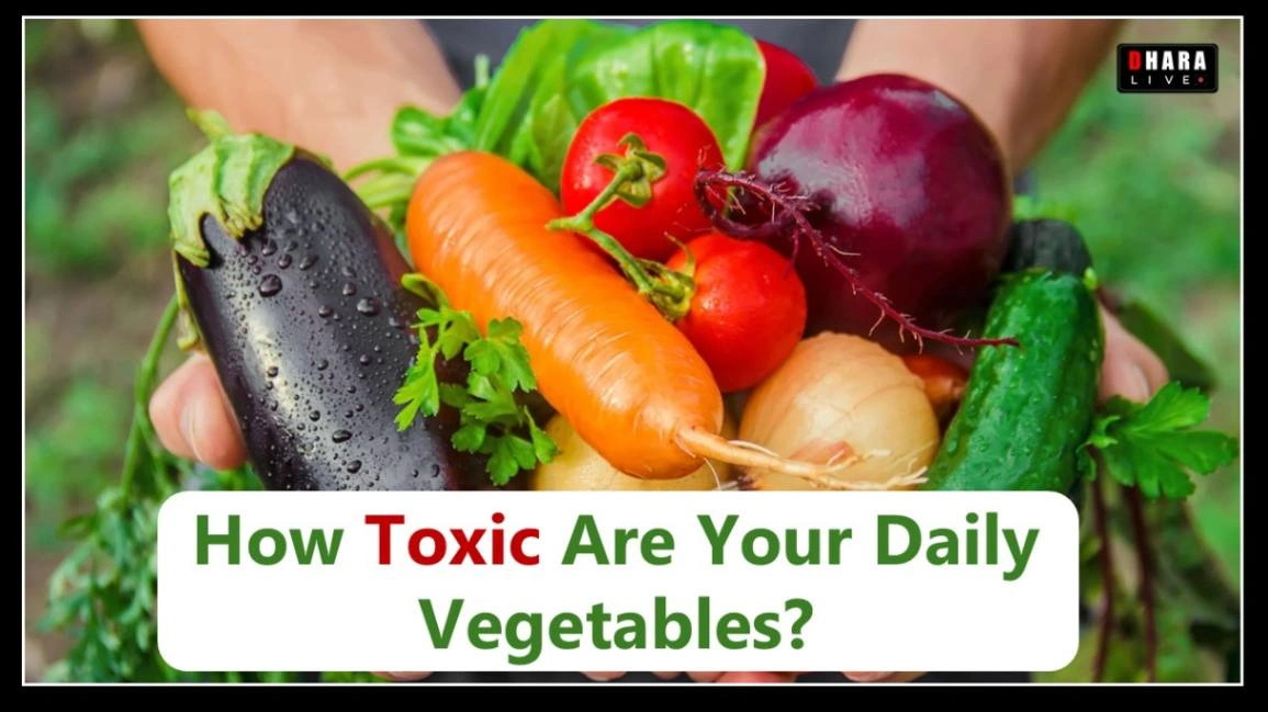 pesticide-poisoning-in-indian-food-how-toxic-are-your-daily-vegetables
