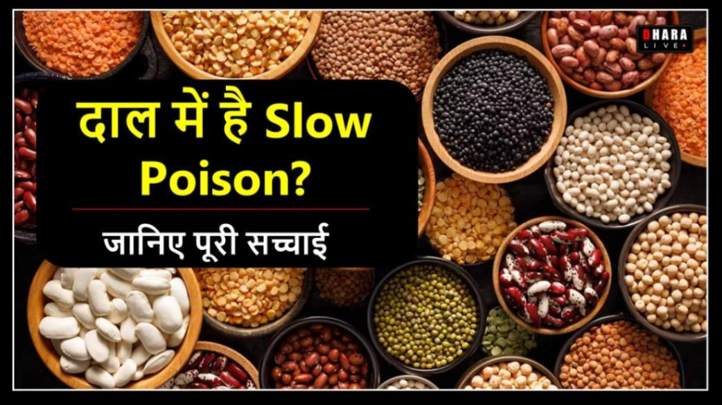why-are-pulses-now-a-threat-to-health-hidden-truth-about-indian-pulses-you-should-know