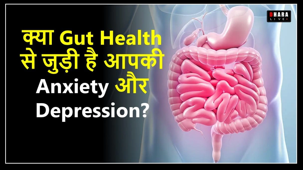 does-gut-health-affect-mood-know-what-science-says