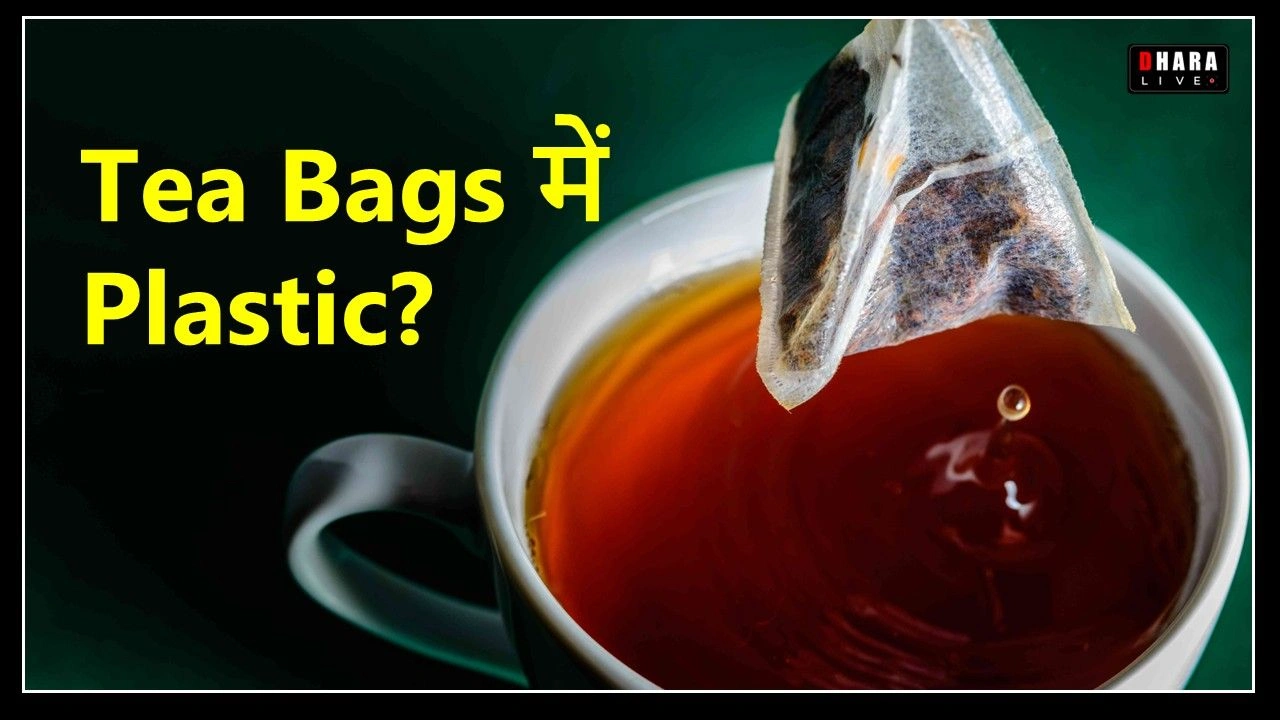 is-plastic-and-pesticide-hidden-in-your-daily-green-tea-know-the-truth-about-tea-bags-and-loose-tea-leaves