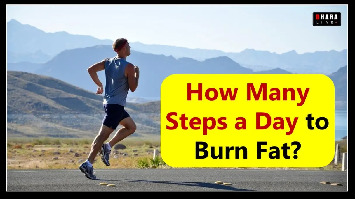 how-many-steps-a-day-are-enough-to-burn-calories-and-fat-complete-beginner-friendly-walking-plan-to-lose-weight-fast-walking-health-benefits