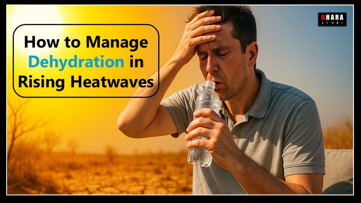 what-are-the-5-stages-of-heat-stress-how-to-manage-dehydration-in-rising-heatwaves-2025