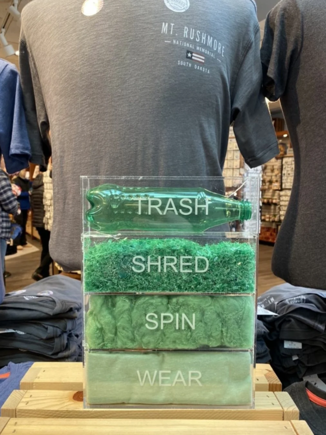 world-environment-day-plastic-bottle-to-tshirt-recycling-process-eco-friendly-fashion